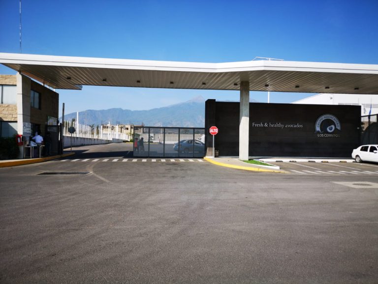 PHOTO-2020-04-23-10-55-06 (2)